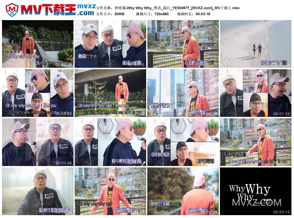 钟伟强-Why Why Why_粤语_流行_YE500877